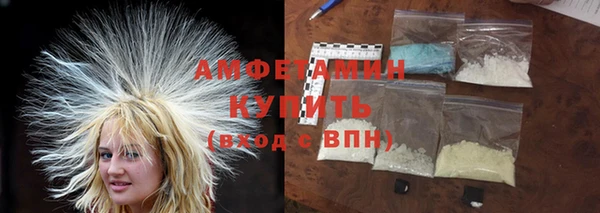 индика Нея