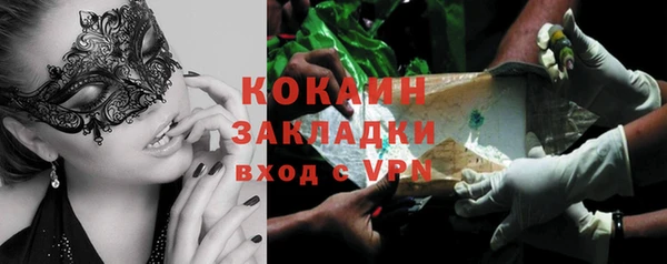 индика Нея