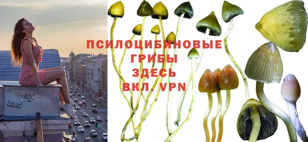 каннабис Нефтекумск