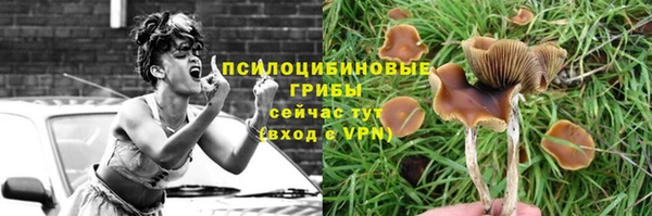индика Нея
