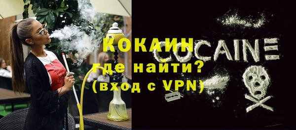 индика Нея