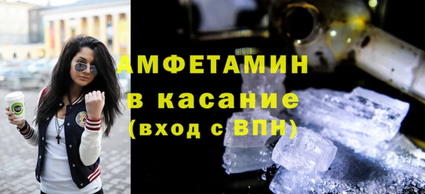 индика Нея