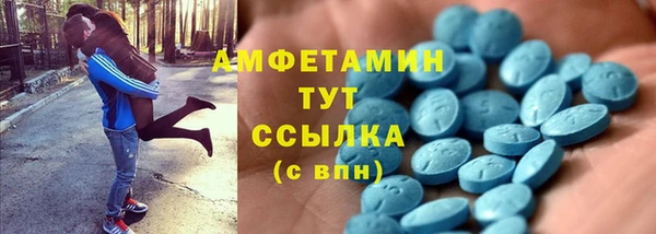 индика Нея