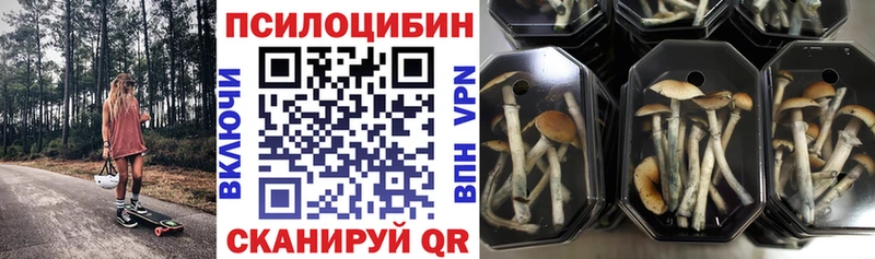 купить наркотик  Новое Девяткино  Галлюциногенные грибы прущие грибы 